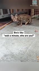 1600886328729.mp4