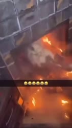 1755625811927535.webm
