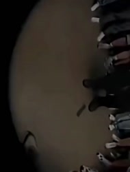 VID20250819235652738.mp4