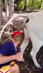 17502605763140.mp4