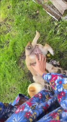 VID20250813113541514.mp4.mov