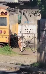 video2025-08-2011-20-15.mp4
