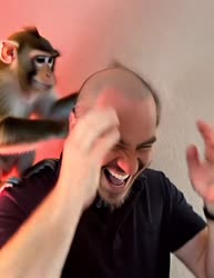 VID20250819132820944.mp4