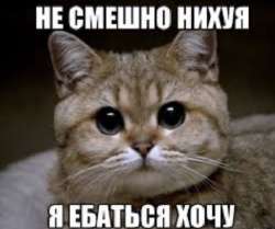 4cef84a04f82d79b1f34d46d1a538d56.jpg