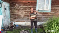 20250821AmusedGentleBearNerfRedBlaster-QvW4BonEgjRWGoysource.mp4