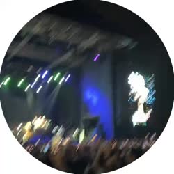 17556118738660.mp4