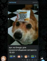 1755697229372.jpg