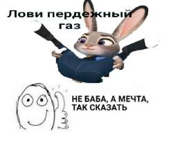 1730727078767.jpg