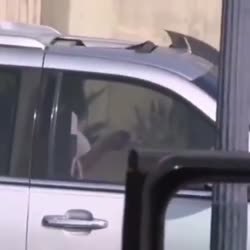 17555176223012.mp4