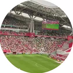 video (3).mp4
