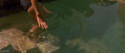 Stealing.Beauty.1996.00.11.29.242.jpg