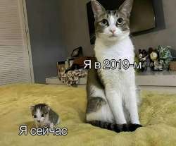 1695357084898.jpg