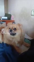 VID20250821170106716.mp4
