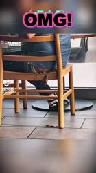 1755769290927051.webm