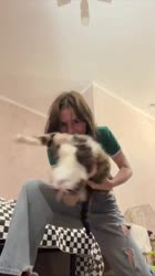 16430206236719.MOV
