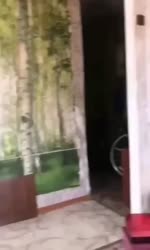 17513982908860.mp4