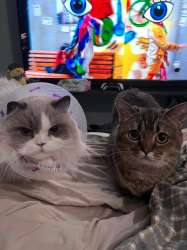 IMG6126.jpeg