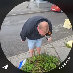 ТОПовый завоз.mp4