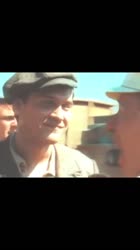 .mp4