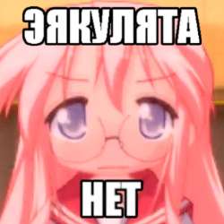 .jpg