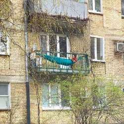 17558637806610[1].jpg