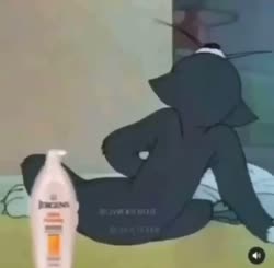 1755978869259.mp4