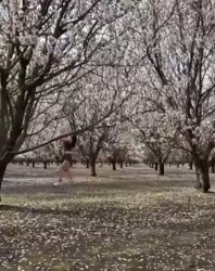 VID20250822071300451.mp4