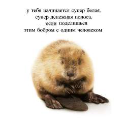 IMG20250822062134050.jpg