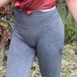 1755962004274.png