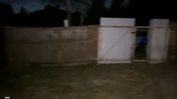 кук.mp4