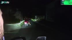 20250822HedonisticAggressiveMosquitoVoteNay-x2ZxpEUQUP10uGbmsource.mp4