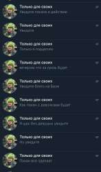 IMG2911.jpeg