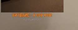 IMG2936.jpeg
