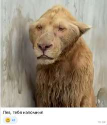 IMG2954.jpeg
