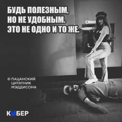 6585bf19445889afbf8dc3ded08f6.webp