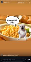 IMG2786.jpeg