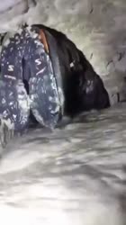 17556282099360.mp4