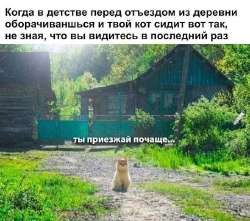 20250823002459.jpg