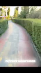 -9119966561542212431.mp4