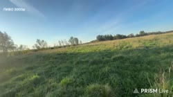 20250822IronicTrappedDotterelWoofer-vjXwRM7HYJSg9JTsource.mp4