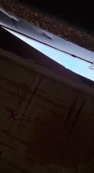 17558562987620.mp4