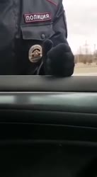 1674717603246.mp4