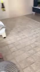 7736876927683.mp4