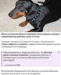 tomsk.jpg