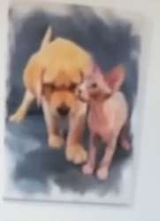 image.png