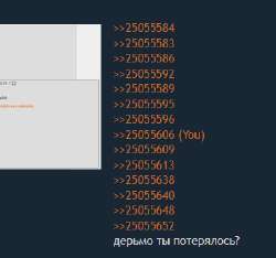 11111342302541.png