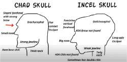 fspc-10-1-2-147-f0004.gif