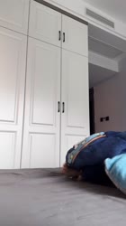 17557851556032.mp4