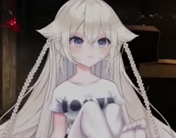 2.mp4