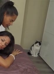 giphy.gif.mp4